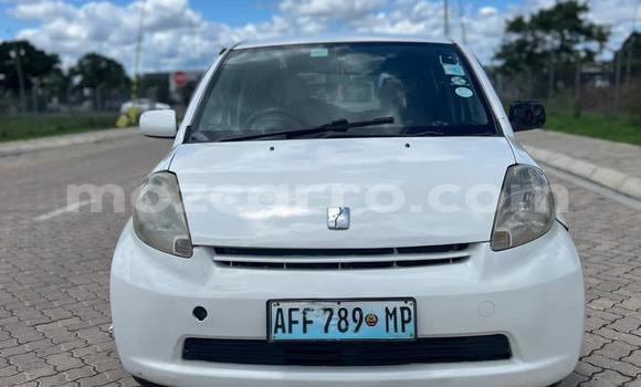 Tenga Tsaru Toyota Passo Chena Mota in Maputo in Maputo Tenga Tsaru Toyota Passo Chena Mota in Maputo in Maputo