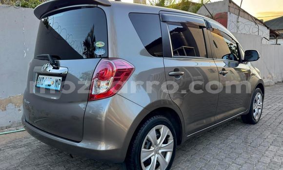 Buy New Toyota Ractis Brown Car in Maputo in Maputo Buy New Toyota Ractis Brown Car in Maputo in Maputo