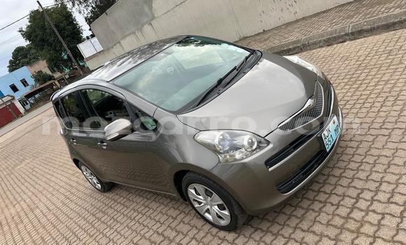 Comprar Usado Toyota Ractis Castanho Carro em Maputo em Maputo Comprar Usado Toyota Ractis Castanho Carro em Maputo em Maputo