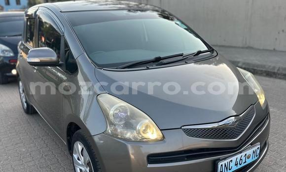 Comprar Usado Toyota Ractis Castanho Carro em Maputo em Maputo