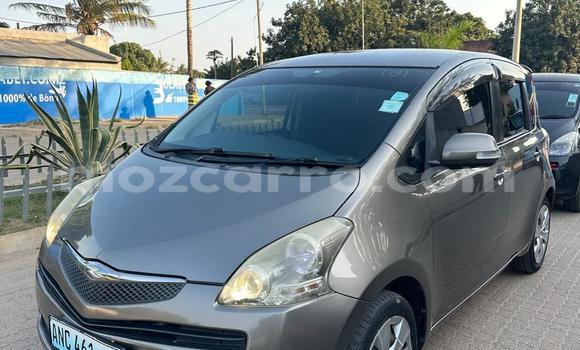 Buy Used Toyota Ractis Brown Car in Maputo in Maputo Buy Used Toyota Ractis Brown Car in Maputo in Maputo