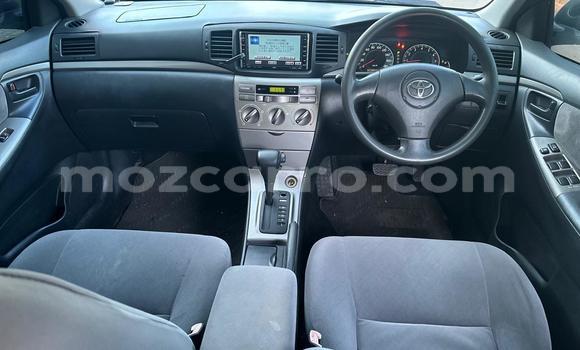 Tenga Tsaru Toyota Runx Zvimwe Mota in Maputo in Maputo Tenga Tsaru Toyota Runx Zvimwe Mota in Maputo in Maputo