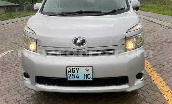 Buy Used Toyota Voxy Silver Car in Maputo in Maputo