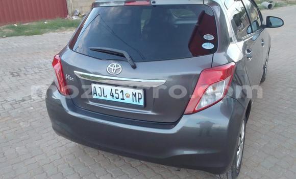 Buy Used Toyota Vitz Other Car in Maputo in Maputo