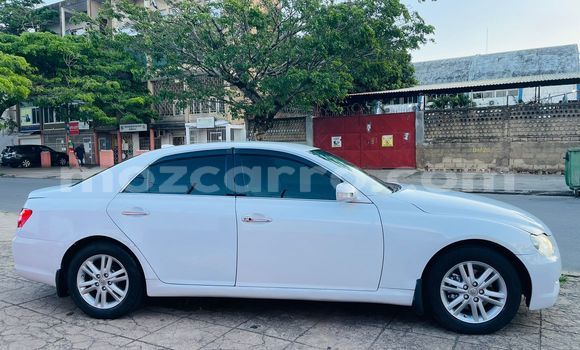 Tenga Tsaru Toyota Mark X Chena Mota in Maputo in Maputo Tenga Tsaru Toyota Mark X Chena Mota in Maputo in Maputo