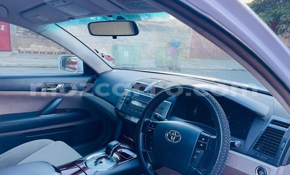 Tenga Tsaru Toyota Mark X Chena Mota in Maputo in Maputo Tenga Tsaru Toyota Mark X Chena Mota in Maputo in Maputo