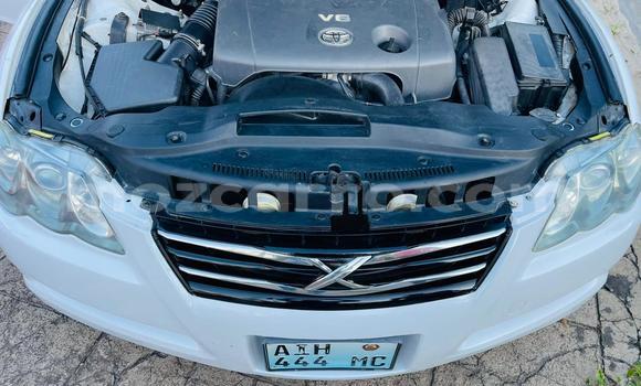 Tenga Tsaru Toyota Mark X Chena Mota in Maputo in Maputo Tenga Tsaru Toyota Mark X Chena Mota in Maputo in Maputo