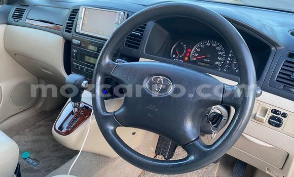 Nunua Ilio tumika Toyota Spacio Brown Gari ndani ya Maputo nchini Maputo Nunua Ilio tumika Toyota Spacio Brown Gari ndani ya Maputo nchini Maputo