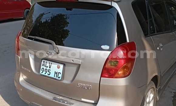 Nunua Ilio tumika Toyota Spacio Nyingine Gari ndani ya Maputo nchini Maputo