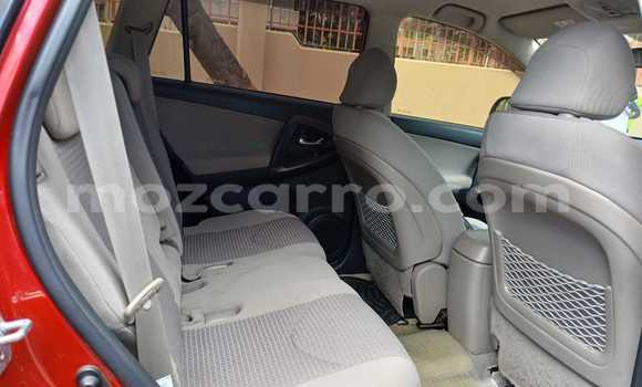 Tenga Tsaru Toyota Vanguard Zvimwe Mota in Maputo in Maputo Tenga Tsaru Toyota Vanguard Zvimwe Mota in Maputo in Maputo