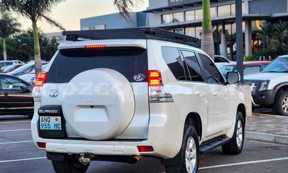 Nunua Ilio tumika Toyota Land Cruiser Prado Nyeupe Gari ndani ya Maputo nchini Maputo Nunua Ilio tumika Toyota Land Cruiser Prado Nyeupe Gari ndani ya Maputo nchini Maputo