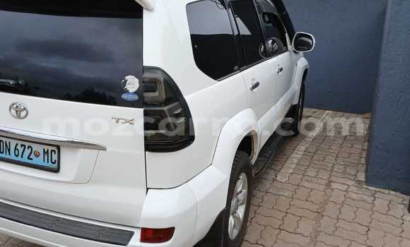 Buy Used Toyota Land Cruiser Prado White Car in Maputo in Maputo Buy Used Toyota Land Cruiser Prado White Car in Maputo in Maputo