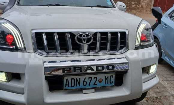 Buy Used Toyota Land Cruiser Prado White Car in Maputo in Maputo Buy Used Toyota Land Cruiser Prado White Car in Maputo in Maputo
