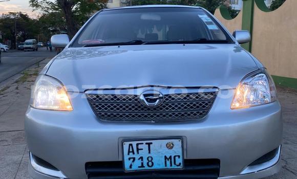 Comprar Usado Toyota Runx De outros Carro em Maputo em Maputo