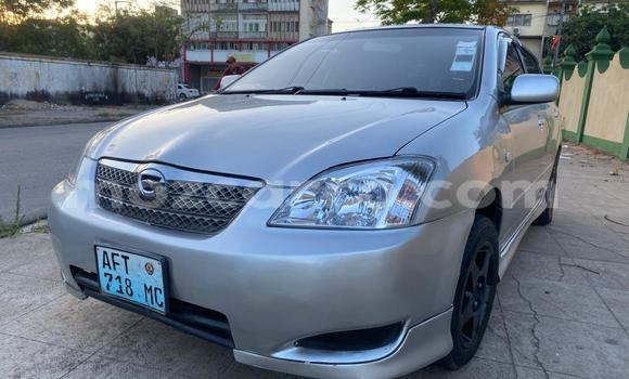 Tenga Tsaru Toyota Runx Zvimwe Mota in Maputo in Maputo Tenga Tsaru Toyota Runx Zvimwe Mota in Maputo in Maputo