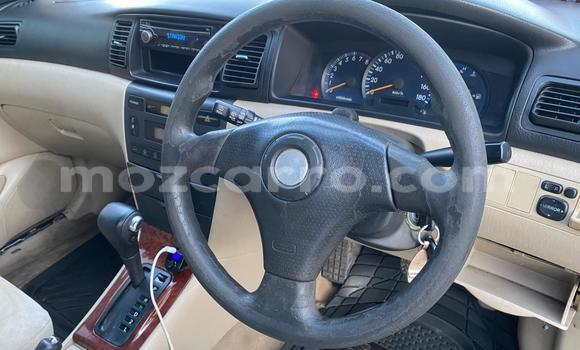 Tenga Tsaru Toyota Runx Zvimwe Mota in Maputo in Maputo Tenga Tsaru Toyota Runx Zvimwe Mota in Maputo in Maputo