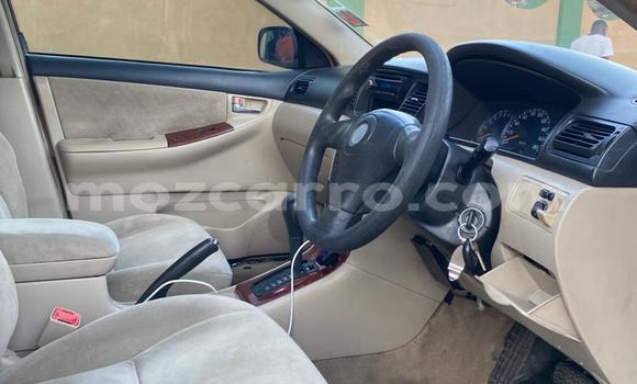 Tenga Tsaru Toyota Runx Zvimwe Mota in Maputo in Maputo Tenga Tsaru Toyota Runx Zvimwe Mota in Maputo in Maputo