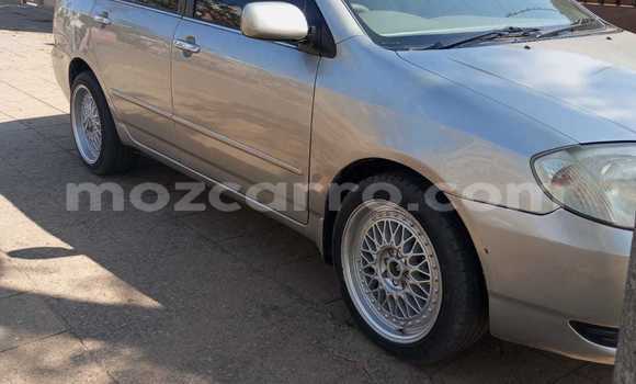 Tenga Tsaru Toyota Corolla Sirivha Mota in Maputo in Maputo Tenga Tsaru Toyota Corolla Sirivha Mota in Maputo in Maputo