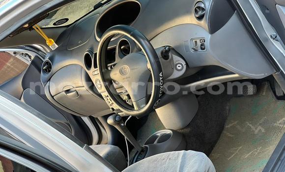 Tenga Tsaru Toyota Vitz Beige Mota in Maputo in Maputo Tenga Tsaru Toyota Vitz Beige Mota in Maputo in Maputo