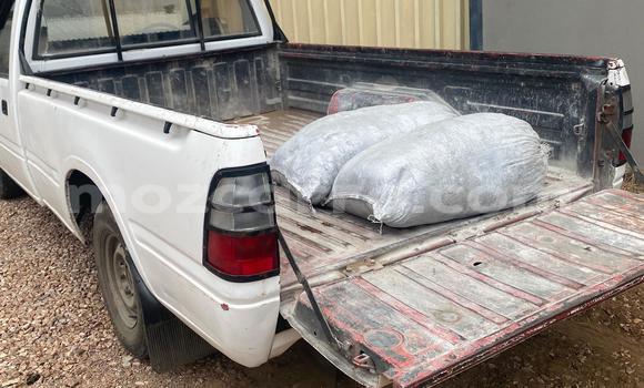 Buy Used Isuzu KB White Car in Maputo in Maputo Buy Used Isuzu KB White Car in Maputo in Maputo