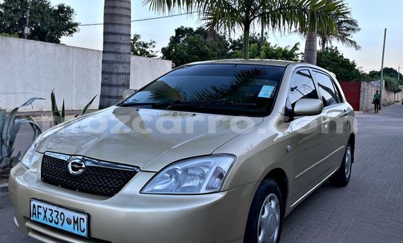 Buy Used Toyota Runx Other Car in Maputo in Maputo Buy Used Toyota Runx Other Car in Maputo in Maputo