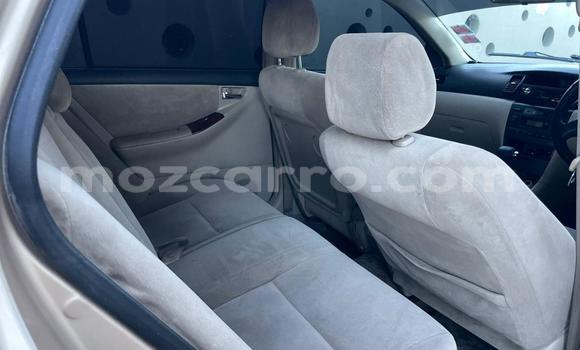 Comprar Usado Toyota Runx De outros Carro em Maputo em Maputo Comprar Usado Toyota Runx De outros Carro em Maputo em Maputo