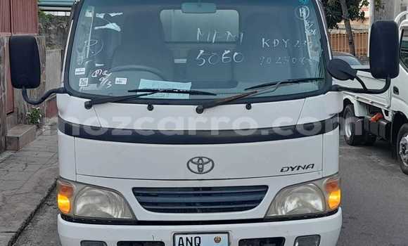 Buy New Toyota Dyna White Truck in Maputo in Maputo