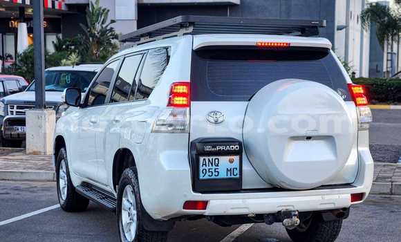 Buy New Toyota Land Cruiser Prado White Car in Maputo in Maputo Buy New Toyota Land Cruiser Prado White Car in Maputo in Maputo