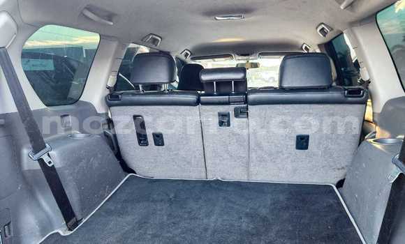 Buy New Toyota Land Cruiser Prado White Car in Maputo in Maputo Buy New Toyota Land Cruiser Prado White Car in Maputo in Maputo