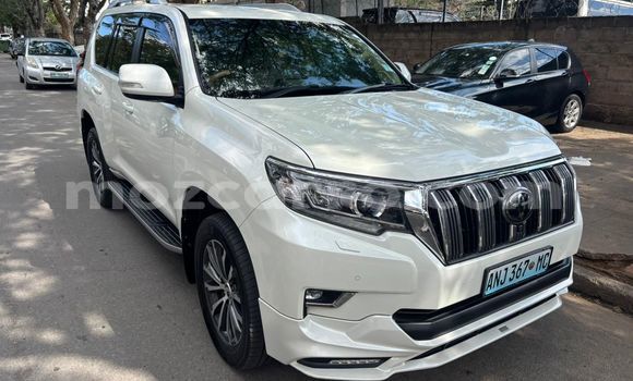 Buy New Toyota Land Cruiser Prado White Car in Maputo in Maputo Buy New Toyota Land Cruiser Prado White Car in Maputo in Maputo