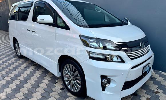 Comprar Novo Toyota Vellfire Branco Carro em Maputo em Maputo