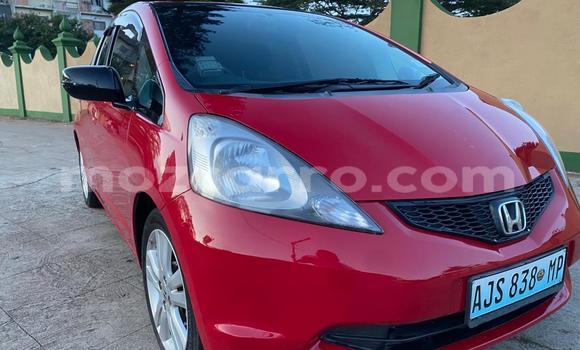 Comprar Usado Honda Fit Vermelho Carro em Maputo em Maputo Comprar Usado Honda Fit Vermelho Carro em Maputo em Maputo