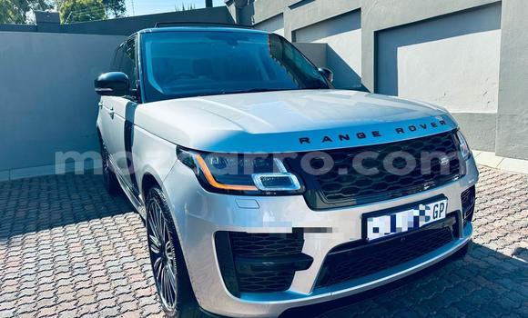 Buy New Land Rover Range Rover Beige Car in Maputo in Maputo Buy New Land Rover Range Rover Beige Car in Maputo in Maputo