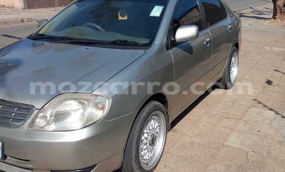 Comprar Usado Toyota 4Runner Castanho Carro em Maputo em Maputo Comprar Usado Toyota 4Runner Castanho Carro em Maputo em Maputo