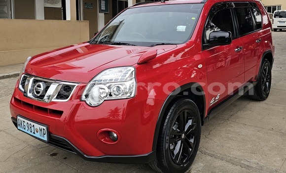 Buy New Nissan X-Trail Red Car in Maputo in Maputo Buy New Nissan X-Trail Red Car in Maputo in Maputo
