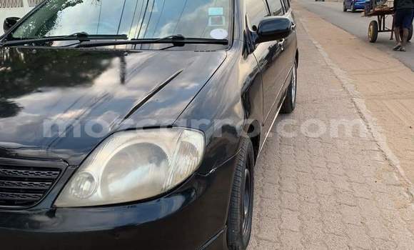 Buy Used Toyota 4Runner Black Car in Maputo in Maputo Buy Used Toyota 4Runner Black Car in Maputo in Maputo