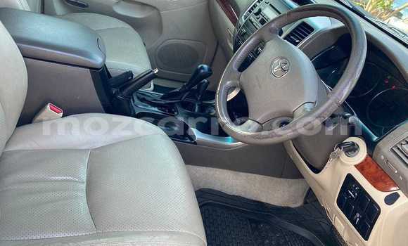 Tenga Itsva Toyota Land Cruiser Prado Bhuruu Mota in Maputo in Maputo Tenga Itsva Toyota Land Cruiser Prado Bhuruu Mota in Maputo in Maputo