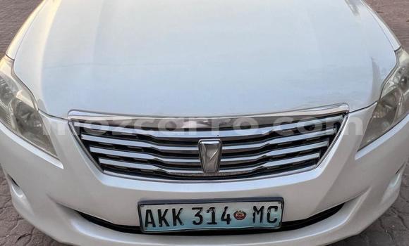 Tenga Itsva Toyota Premio Chena Mota in Maputo in Maputo Tenga Itsva Toyota Premio Chena Mota in Maputo in Maputo