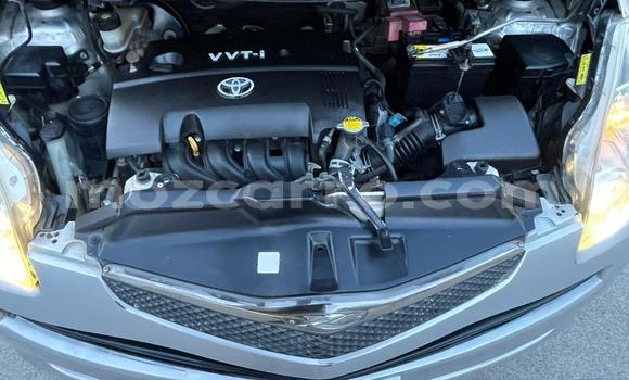 Tenga Tsaru Toyota Ractis Bhuruu Mota in Maputo in Maputo Tenga Tsaru Toyota Ractis Bhuruu Mota in Maputo in Maputo