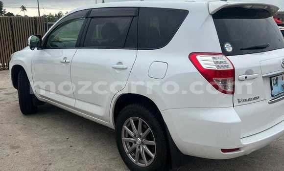 Tenga Tsaru Toyota Vanguard Chena Mota in Maputo in Maputo Tenga Tsaru Toyota Vanguard Chena Mota in Maputo in Maputo