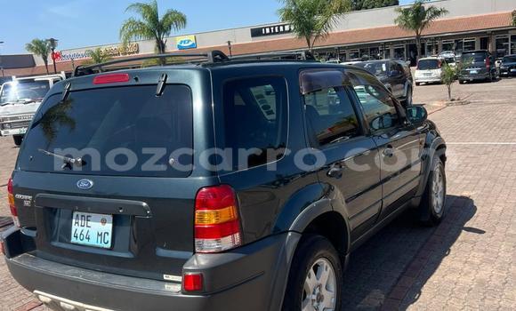 Comprar Usado Ford Escape De outros Carro em Maputo em Maputo Comprar Usado Ford Escape De outros Carro em Maputo em Maputo