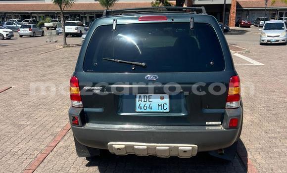 Comprar Usado Ford Escape De outros Carro em Maputo em Maputo Comprar Usado Ford Escape De outros Carro em Maputo em Maputo