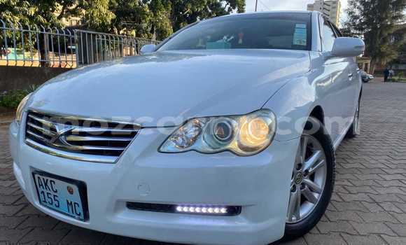 Buy Used Toyota Mark X White Car in Maputo in Maputo