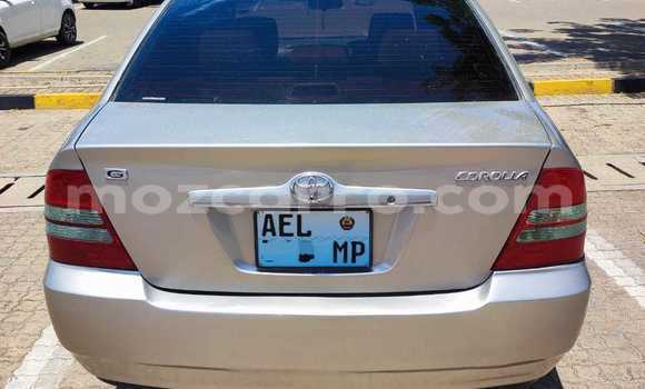 Nunua Ilio tumika Toyota Corolla Fedha Gari ndani ya Maputo nchini Maputo Nunua Ilio tumika Toyota Corolla Fedha Gari ndani ya Maputo nchini Maputo
