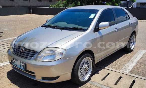 Nunua Ilio tumika Toyota Corolla Fedha Gari ndani ya Maputo nchini Maputo Nunua Ilio tumika Toyota Corolla Fedha Gari ndani ya Maputo nchini Maputo