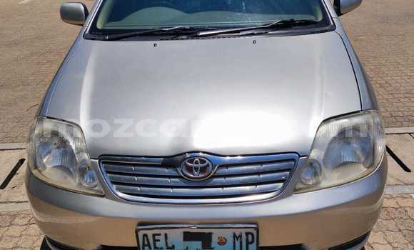 Nunua Ilio tumika Toyota Corolla Fedha Gari ndani ya Maputo nchini Maputo Nunua Ilio tumika Toyota Corolla Fedha Gari ndani ya Maputo nchini Maputo
