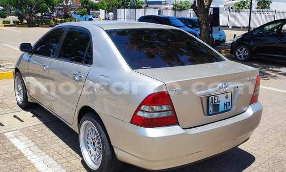 Nunua Ilio tumika Toyota Corolla Fedha Gari ndani ya Maputo nchini Maputo Nunua Ilio tumika Toyota Corolla Fedha Gari ndani ya Maputo nchini Maputo