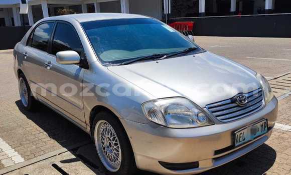 Nunua Ilio tumika Toyota Corolla Fedha Gari ndani ya Maputo nchini Maputo Nunua Ilio tumika Toyota Corolla Fedha Gari ndani ya Maputo nchini Maputo