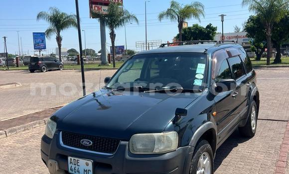 Comprar Usado Ford Escape De outros Carro em Maputo em Maputo Comprar Usado Ford Escape De outros Carro em Maputo em Maputo