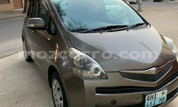 Comprar Usado Toyota Ractis Castanho Carro em Maputo em Maputo Comprar Usado Toyota Ractis Castanho Carro em Maputo em Maputo
